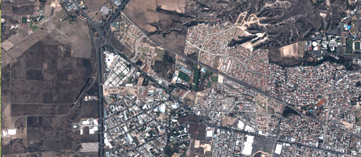 AMAREF