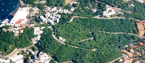 AMAREF